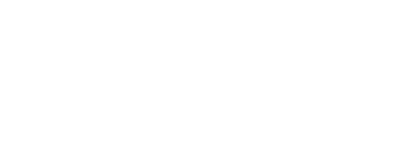 MTS ARMS